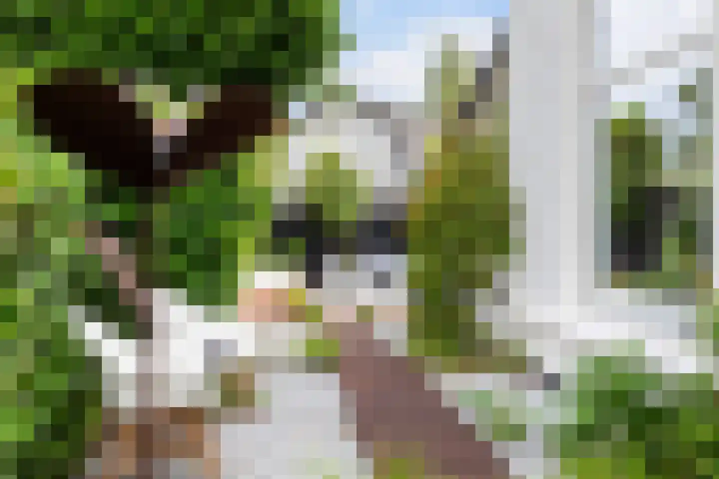 Soerenseweg 32 Apeldoorn thumbnail 44