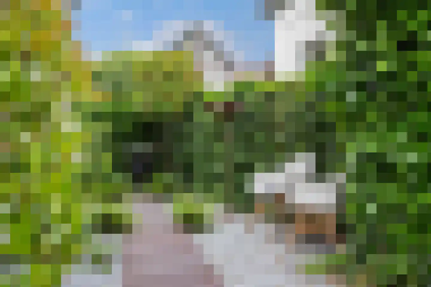 Soerenseweg 32 Apeldoorn thumbnail 45