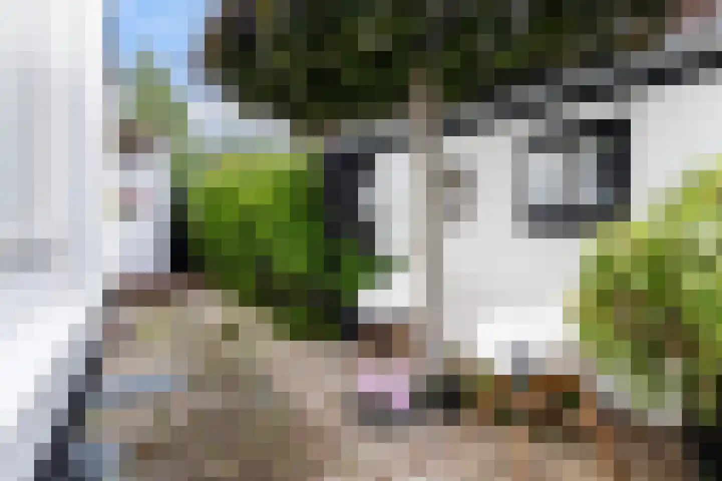 Soerenseweg 32 Apeldoorn thumbnail 47