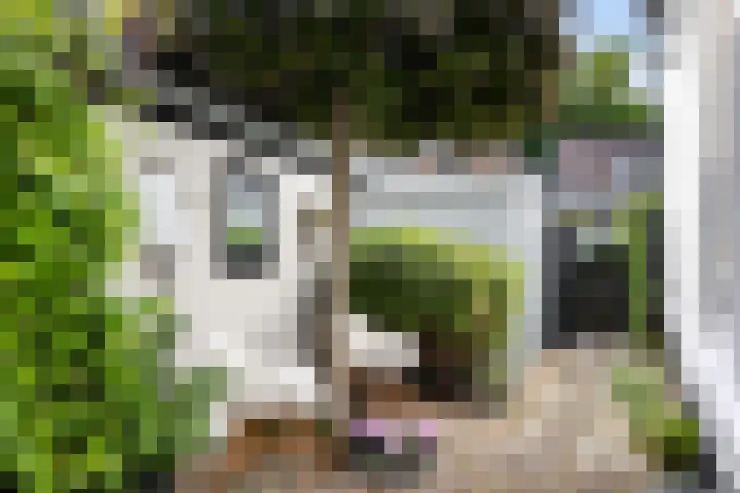 Soerenseweg 32 Apeldoorn thumbnail 48