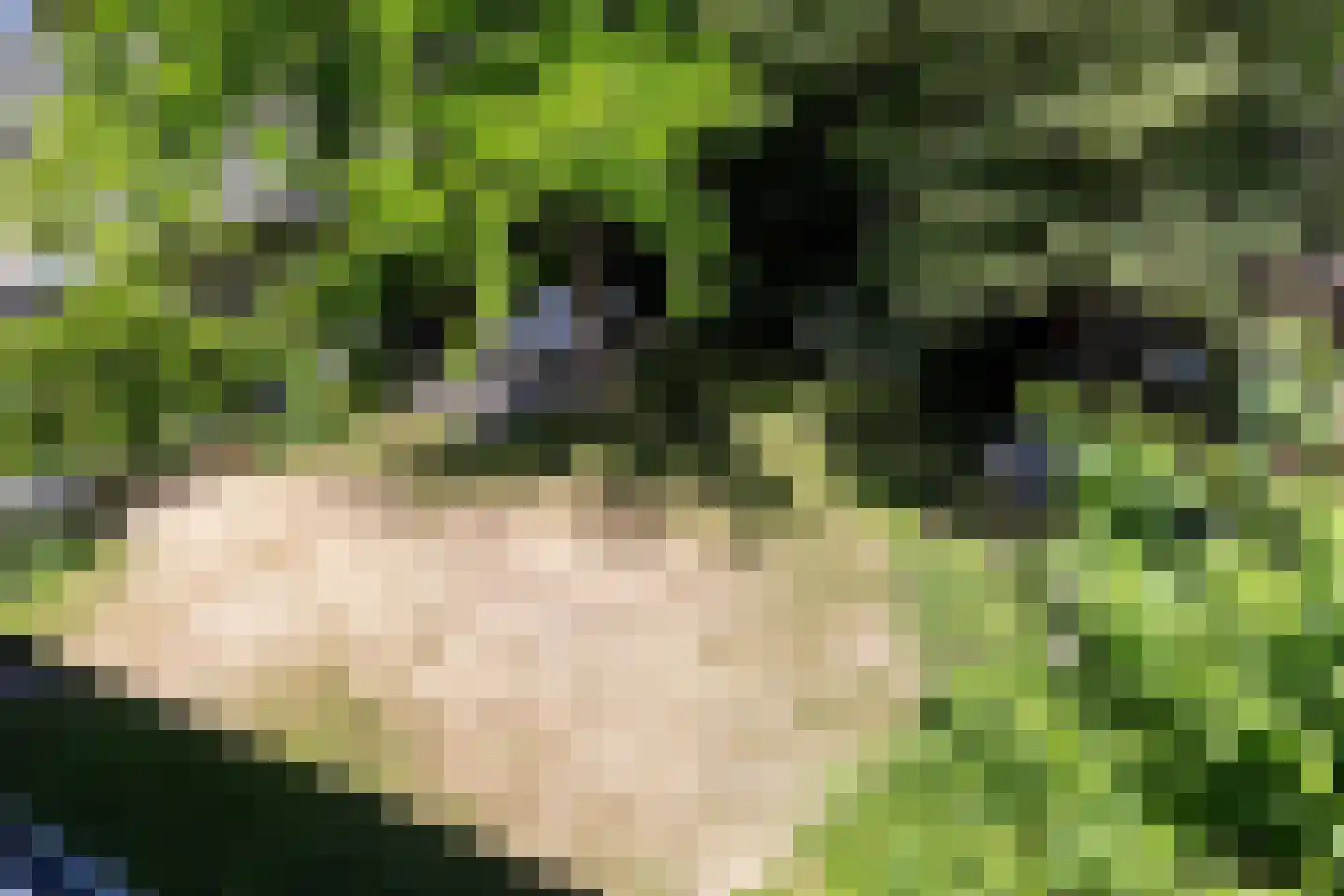Soerenseweg 36 Apeldoorn thumbnail 37