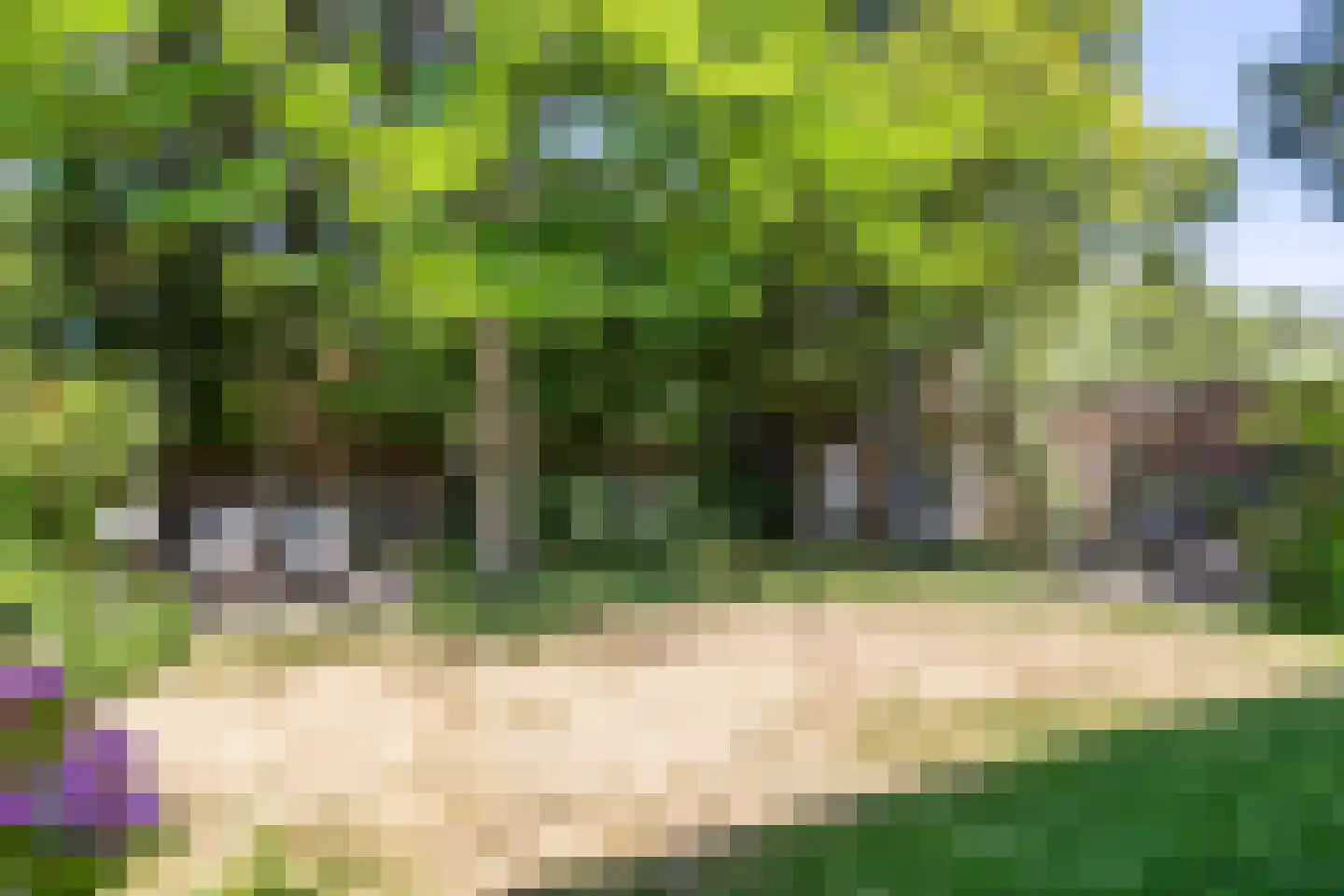 Soerenseweg 36 Apeldoorn thumbnail 43