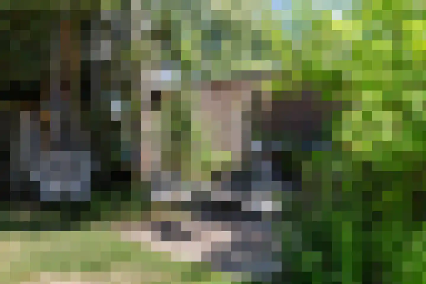 Soerenseweg 36 Apeldoorn thumbnail 44