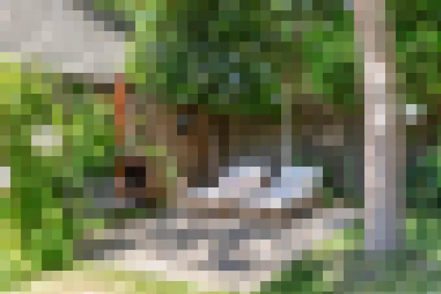 Soerenseweg 36 Apeldoorn thumbnail 45