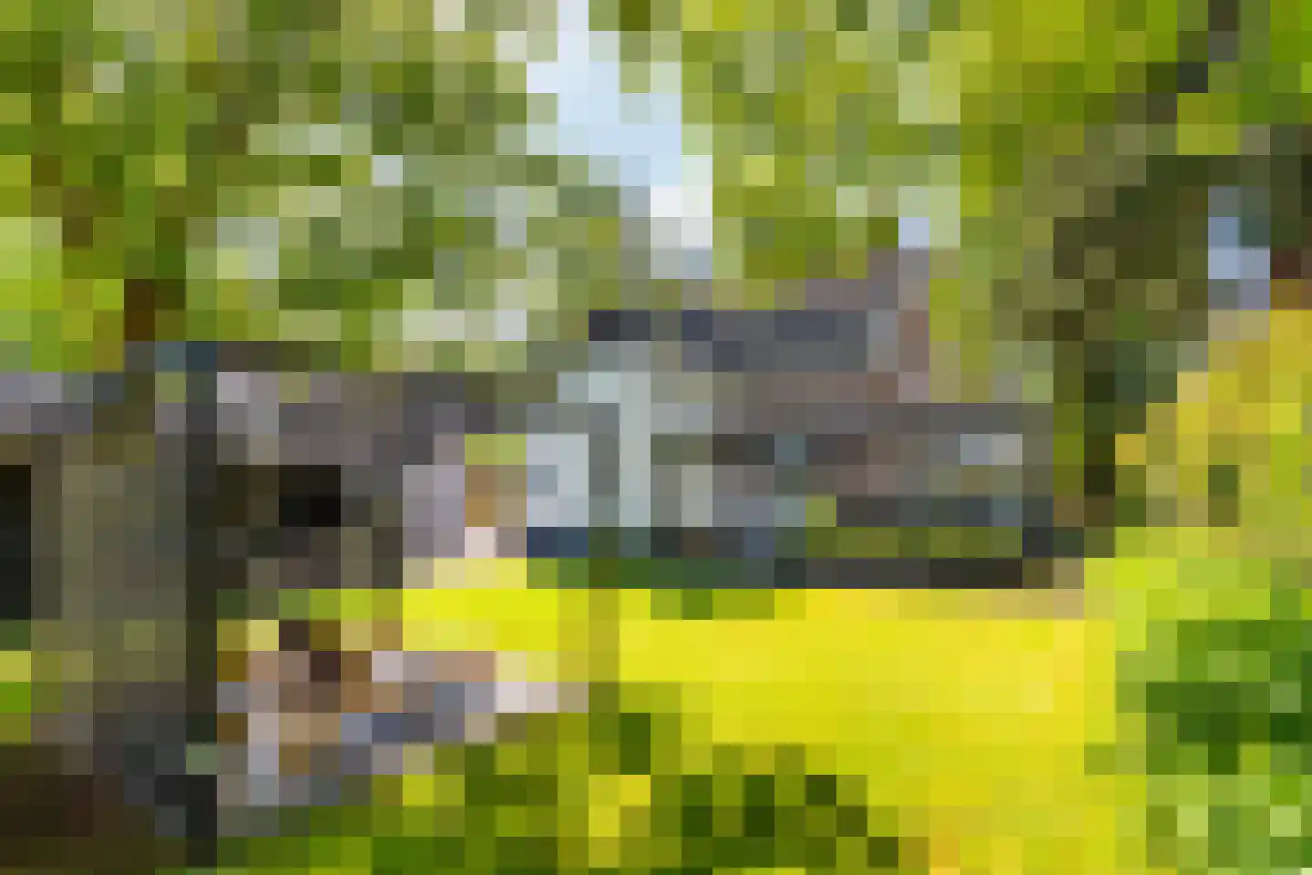Soerenseweg 66 Apeldoorn thumbnail 4