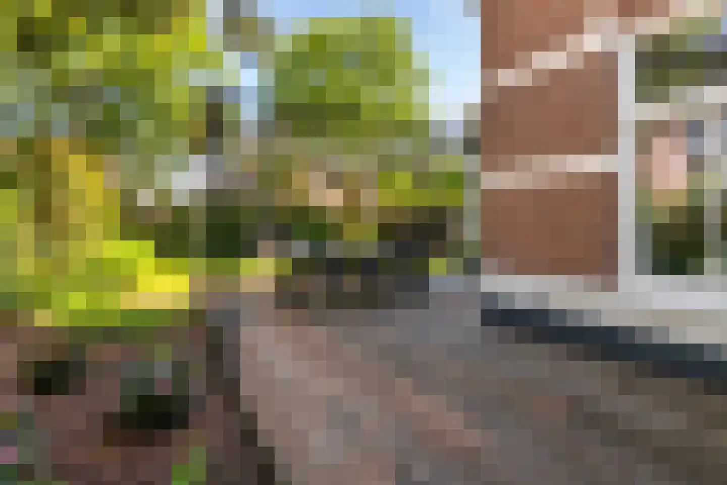 Soerenseweg 66 Apeldoorn thumbnail 57