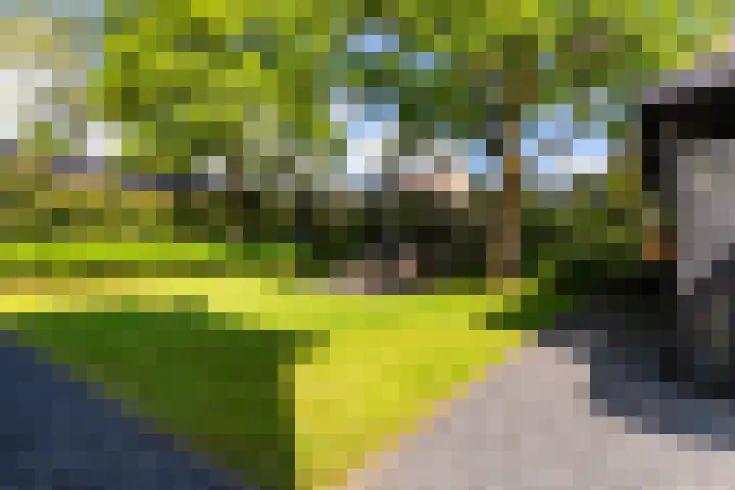 Soerenseweg 66 Apeldoorn thumbnail 63