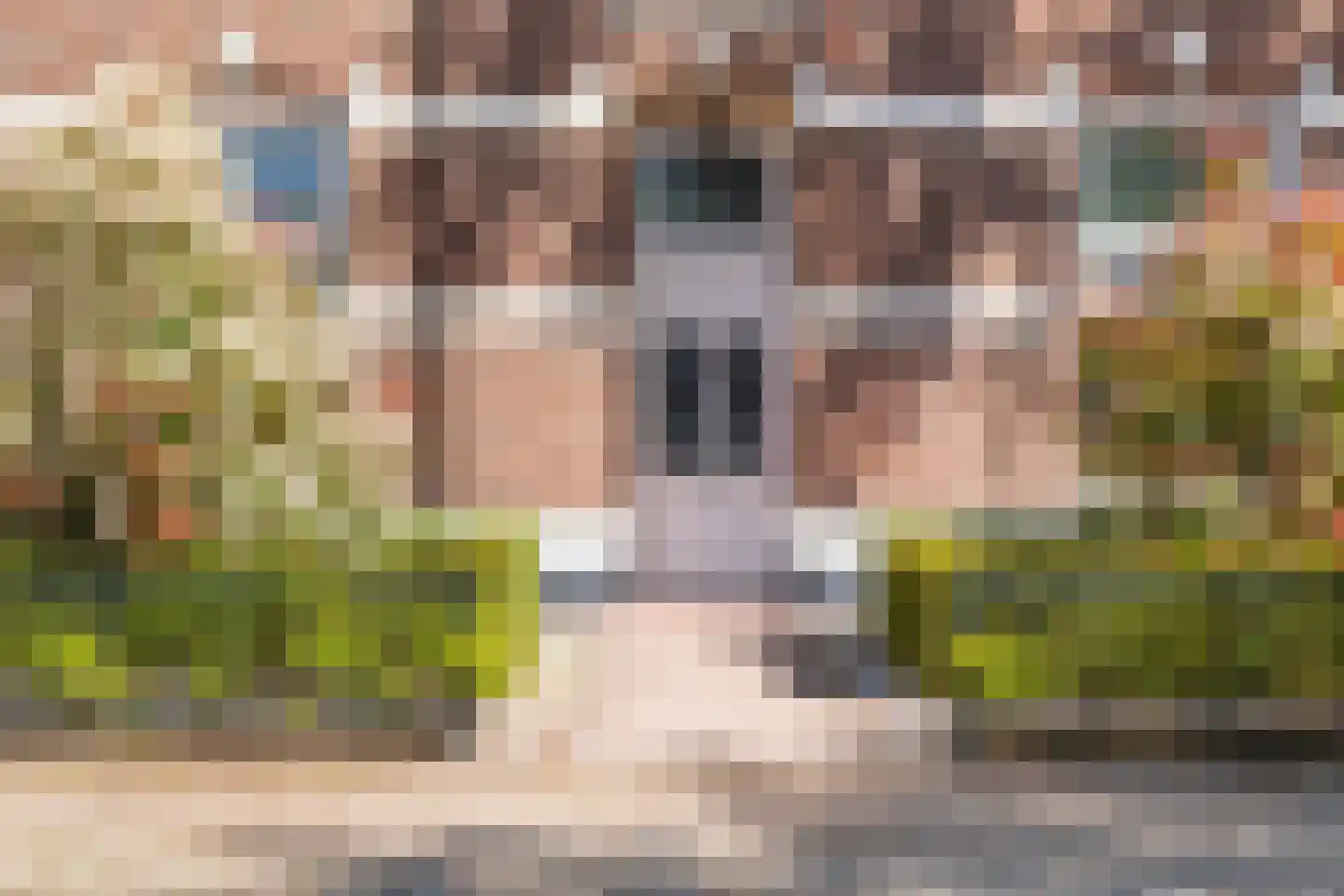 Soerenseweg 66 Apeldoorn thumbnail 7
