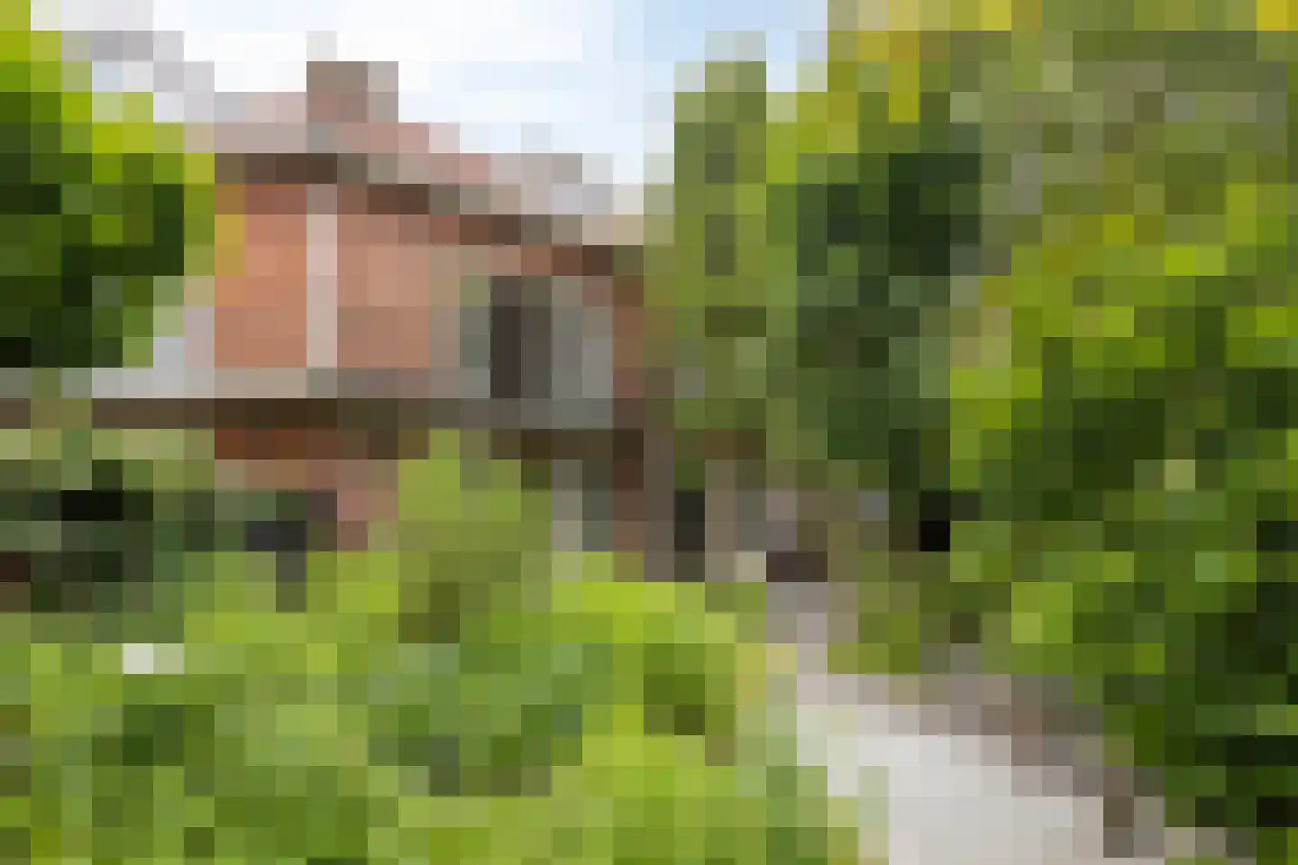 Soerlaan 4 Amstelveen thumbnail 34