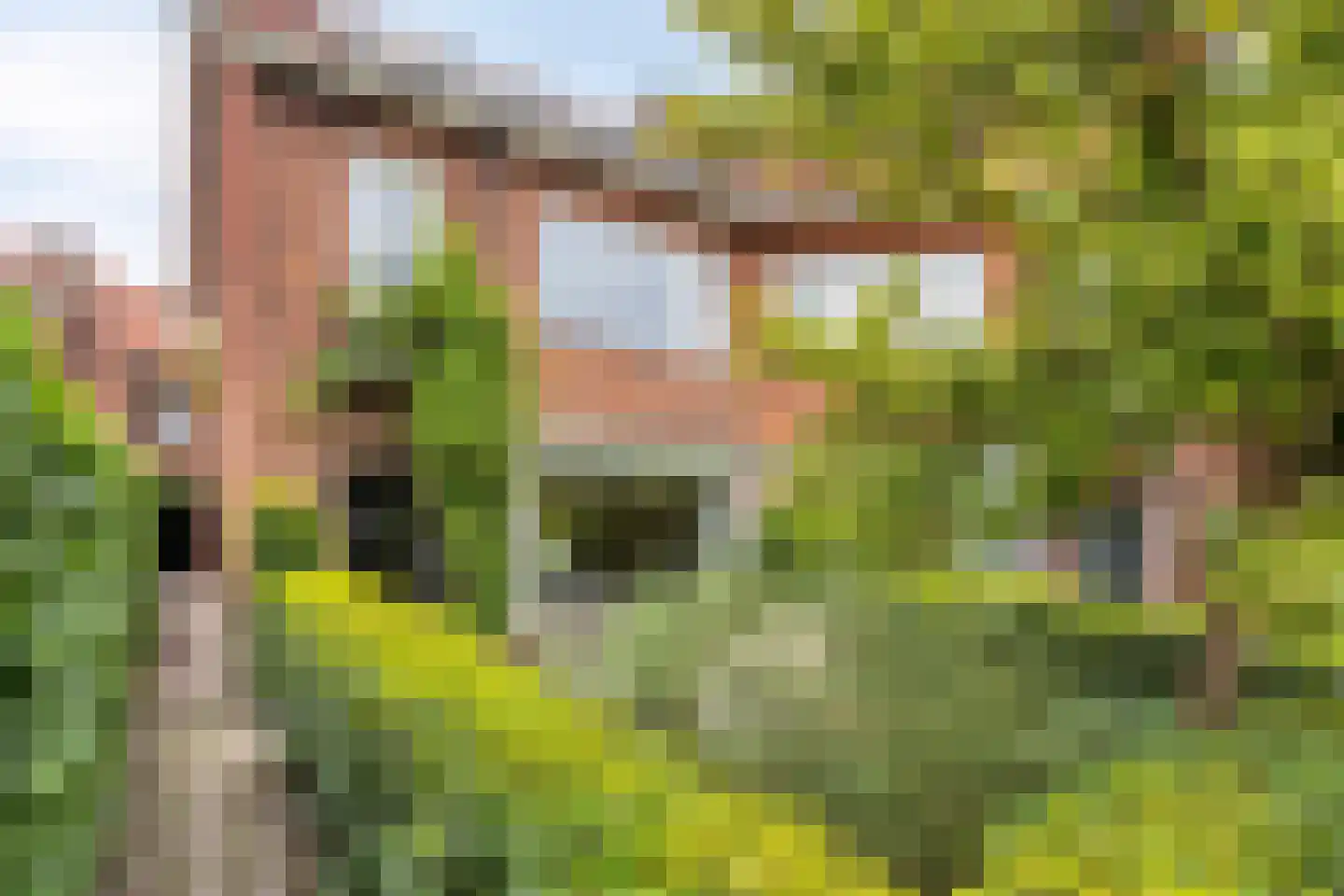 Soerlaan 4 Amstelveen thumbnail 38