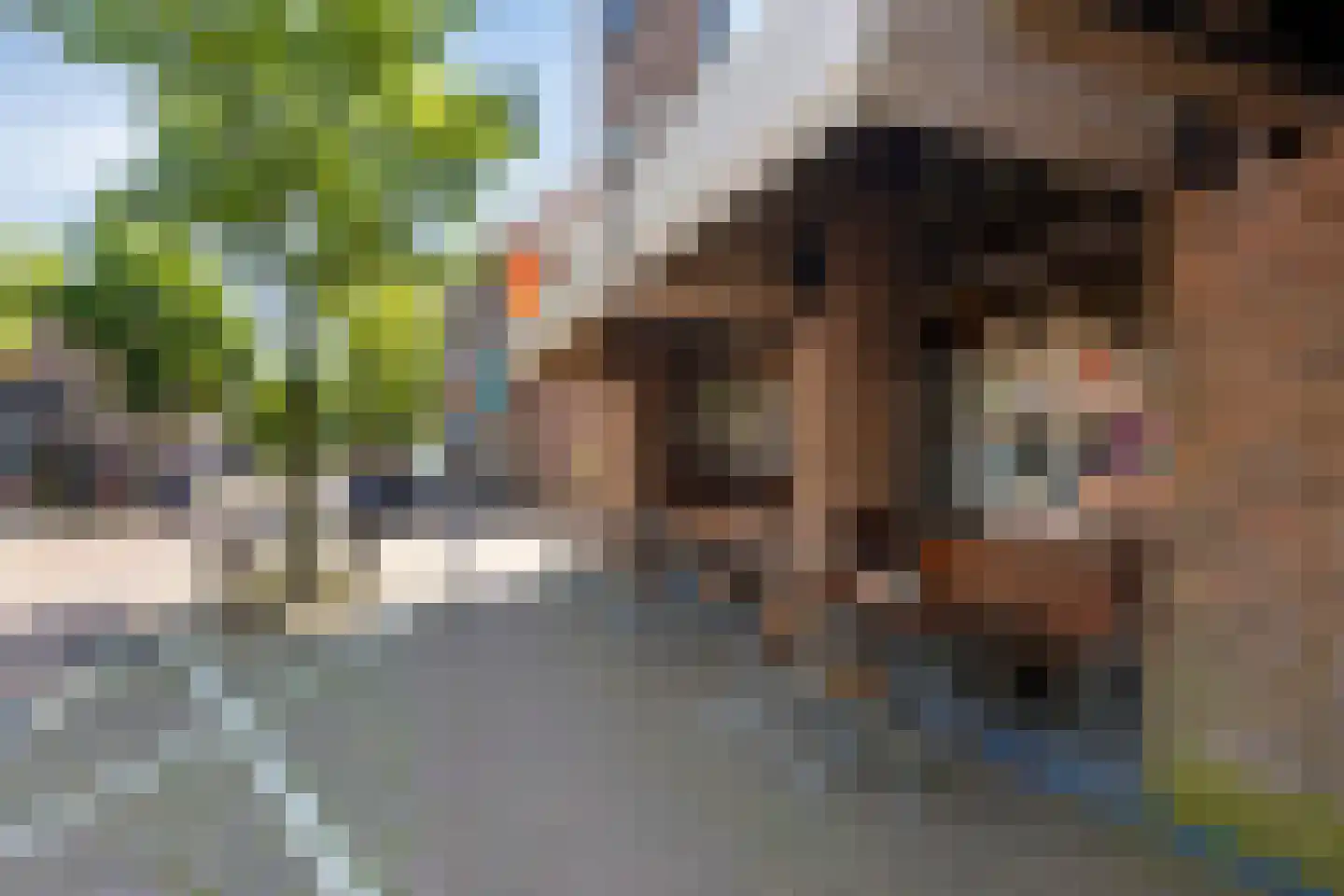 Soerlaan 4 Amstelveen thumbnail 50