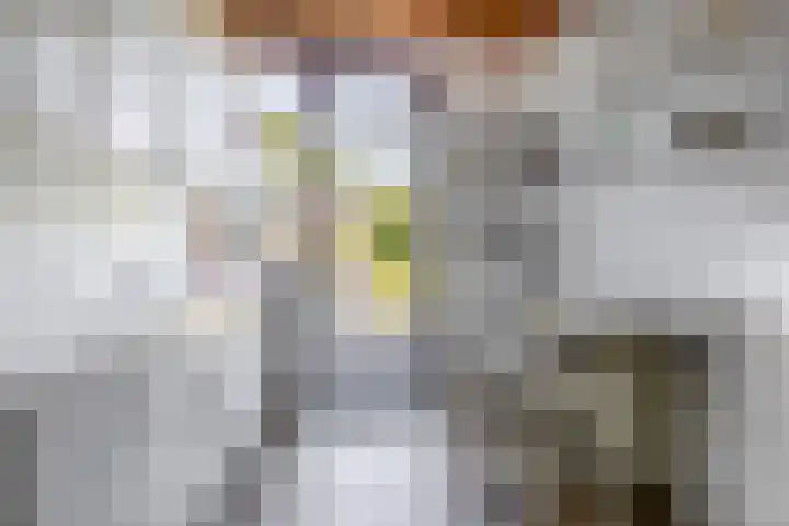 Soersbeekweg 66 Belfeld thumbnail 10