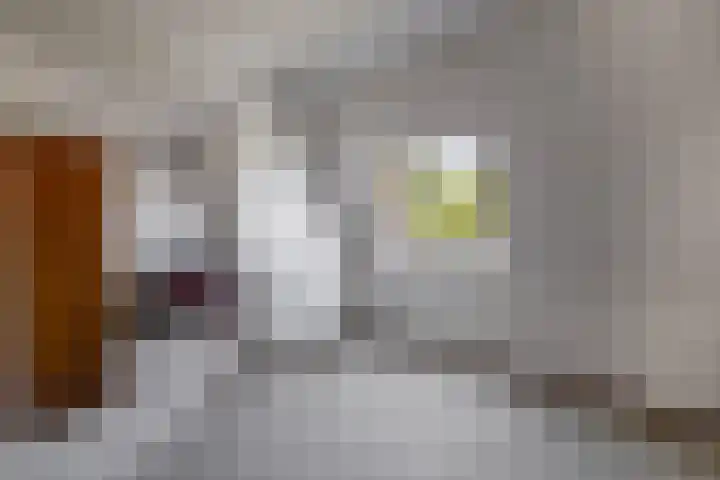 Soersbeekweg 66 Belfeld thumbnail 20