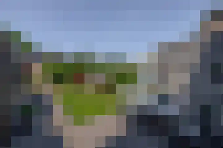Soersbeekweg 66 Belfeld thumbnail 22