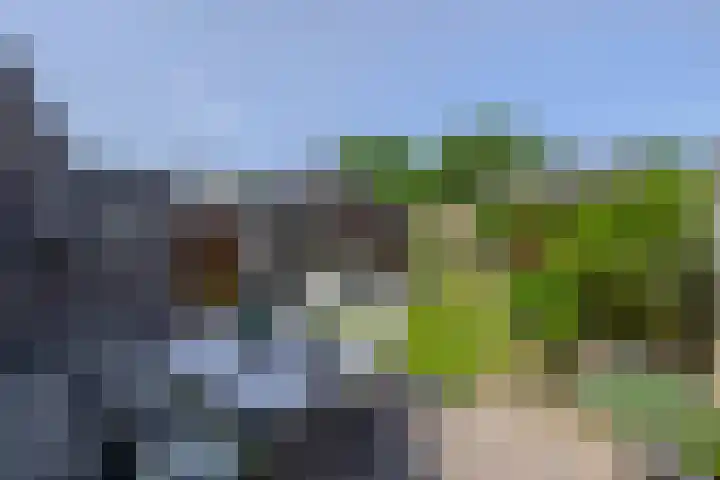 Soersbeekweg 66 Belfeld thumbnail 23