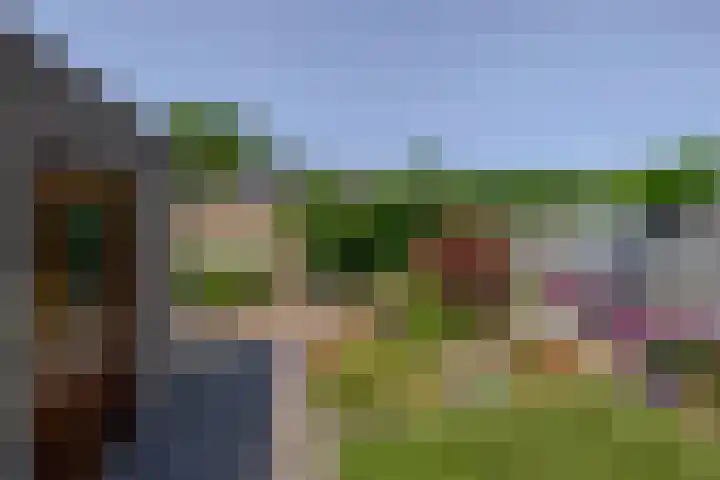 Soersbeekweg 66 Belfeld thumbnail 24