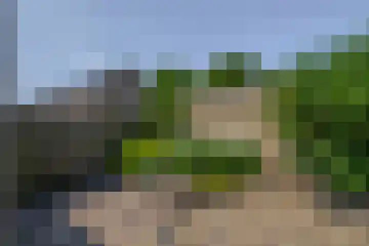 Soersbeekweg 66 Belfeld thumbnail 25