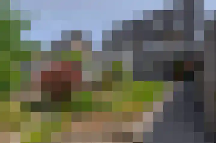 Soersbeekweg 66 Belfeld thumbnail 26