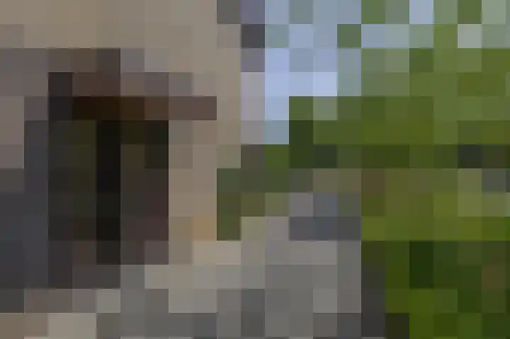 Soersbeekweg 66 Belfeld thumbnail 27