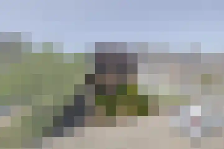 Soersbeekweg 66 Belfeld thumbnail 28