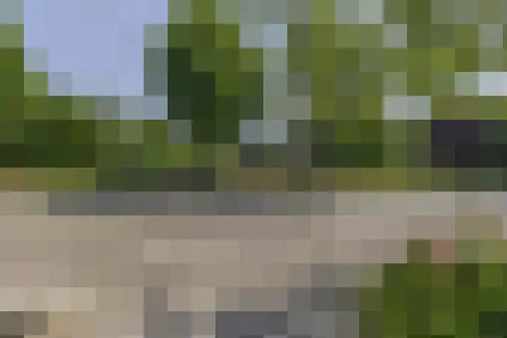 Soersbeekweg 66 Belfeld thumbnail 29