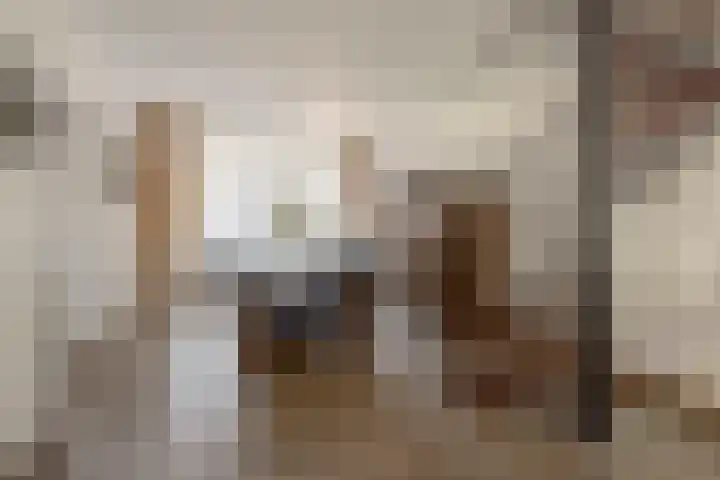 Soersbeekweg 66 Belfeld thumbnail 5