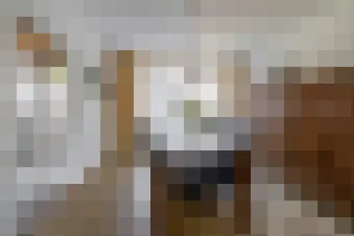 Soersbeekweg 66 Belfeld thumbnail 6
