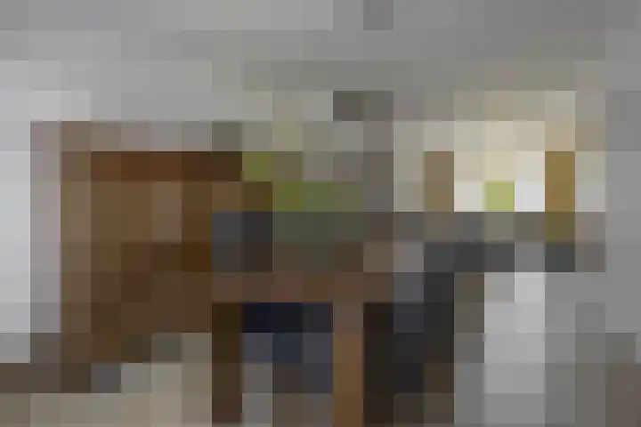 Soersbeekweg 66 Belfeld thumbnail 7
