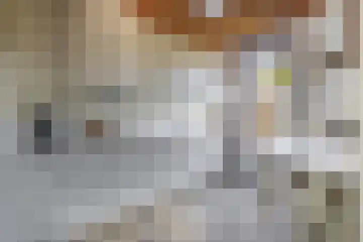 Soersbeekweg 66 Belfeld thumbnail 8