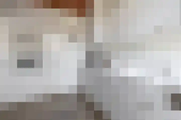 Soersbeekweg 66 Belfeld thumbnail 9