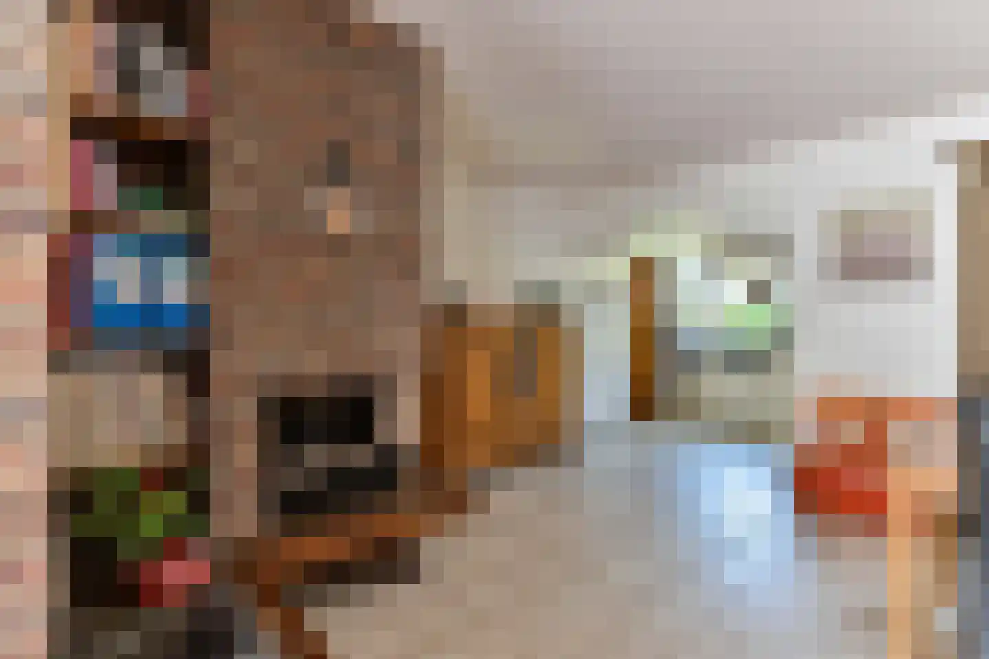 Soersbeekweg 8 Belfeld thumbnail 5