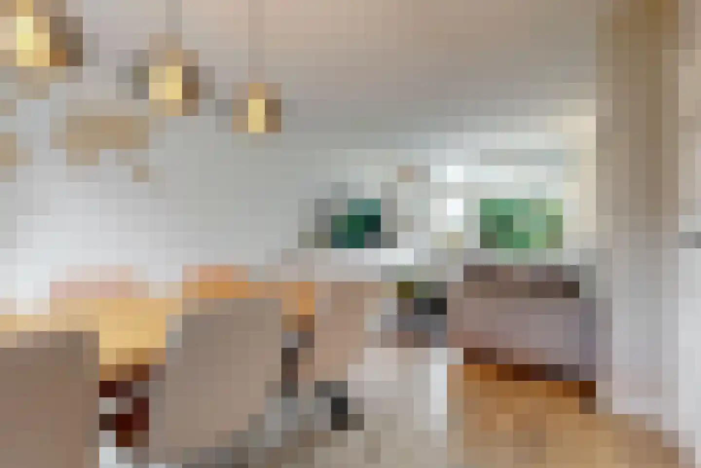 Soerstraat 21 Bussum thumbnail 5