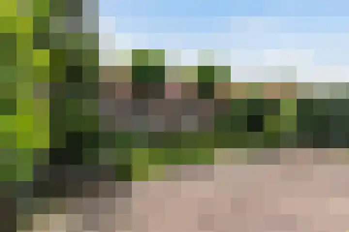 Soerstraat 36 Bussum thumbnail 13