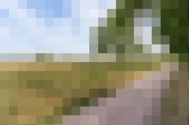 Soerstraat 36 Bussum thumbnail 25