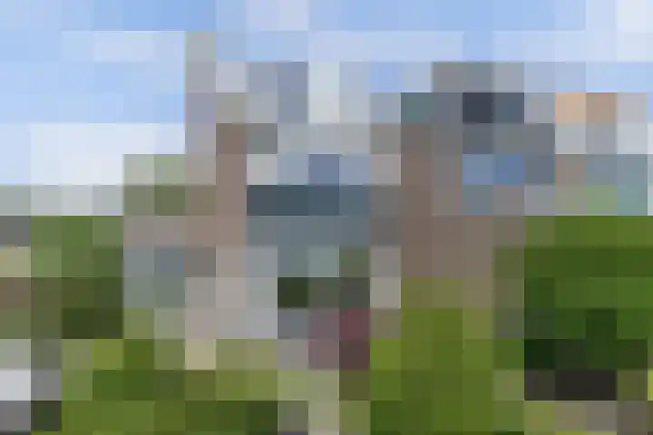 Soest Wetering 18 Zaandam thumbnail 32