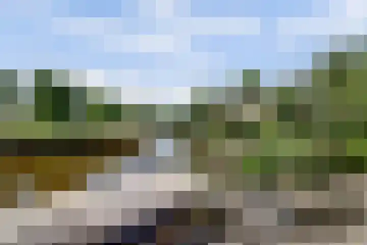 Soest Wetering 18 Zaandam thumbnail 36