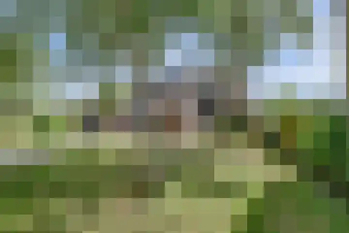 Soest Wetering 18 Zaandam thumbnail 4