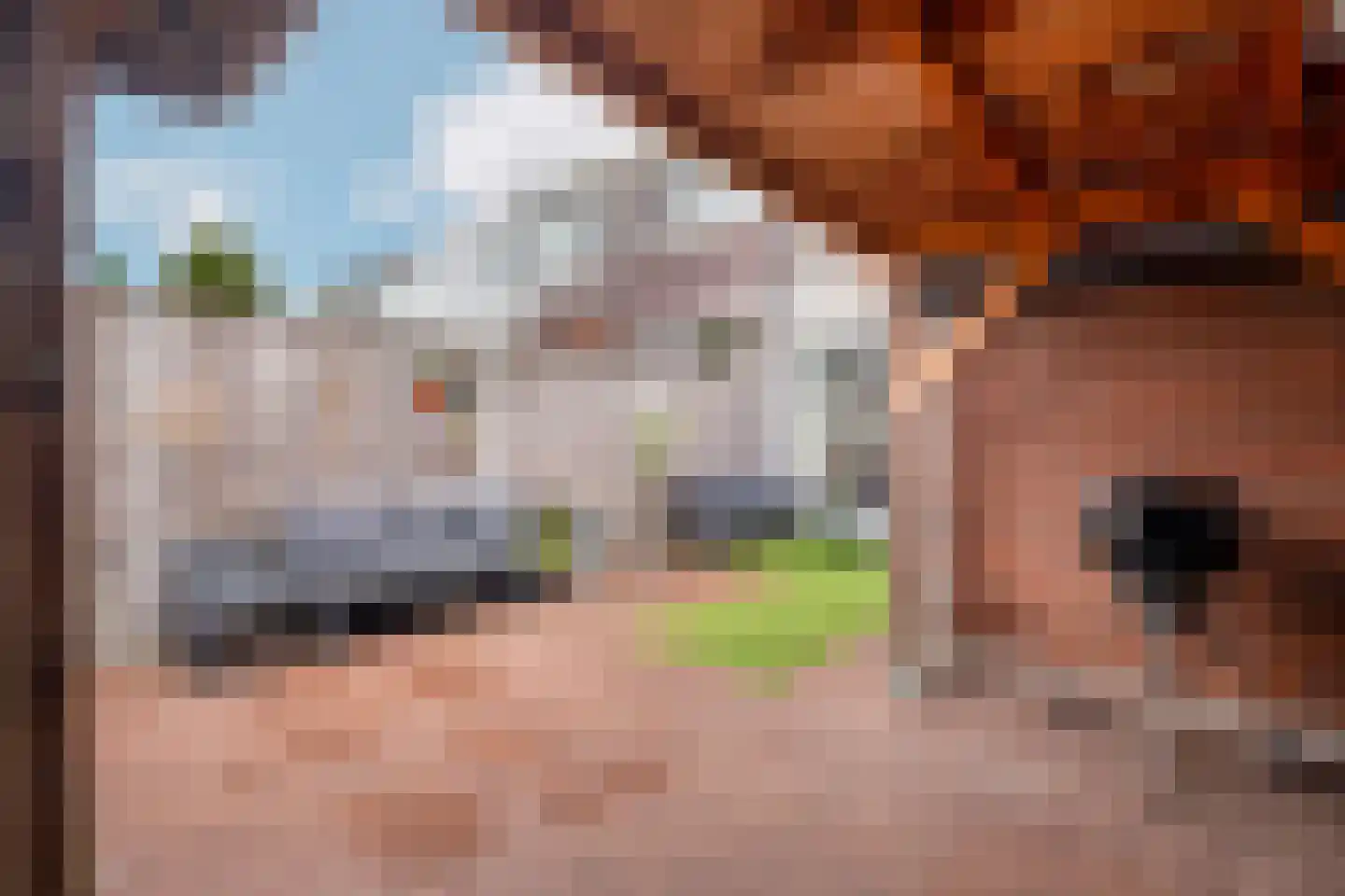 Soestburg 13 Pijnacker thumbnail 13