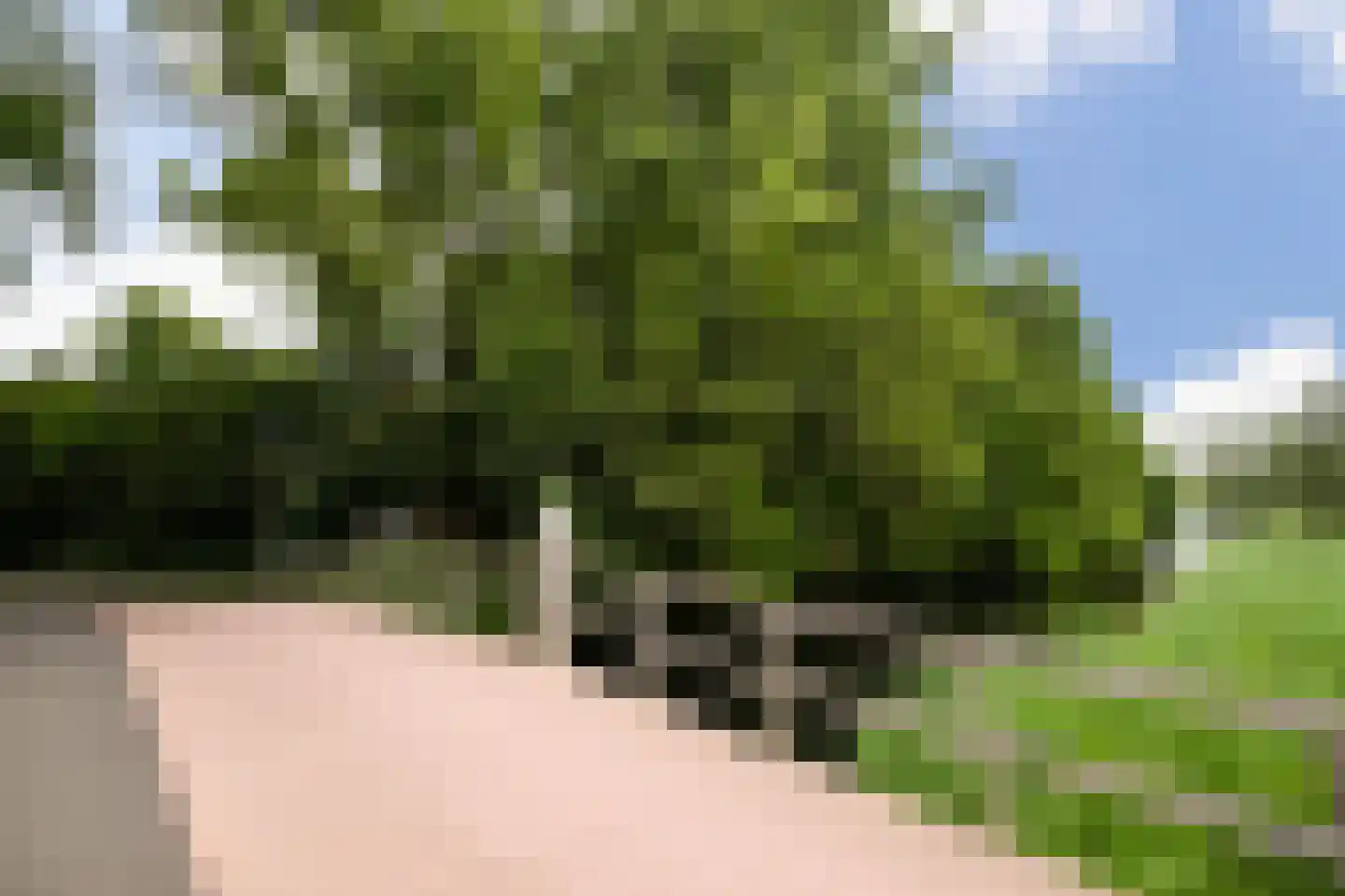Soestburg 13 Pijnacker thumbnail 32