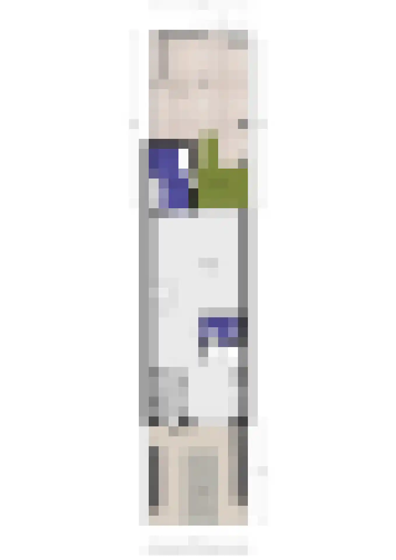 Soestburg 13 Pijnacker thumbnail 36