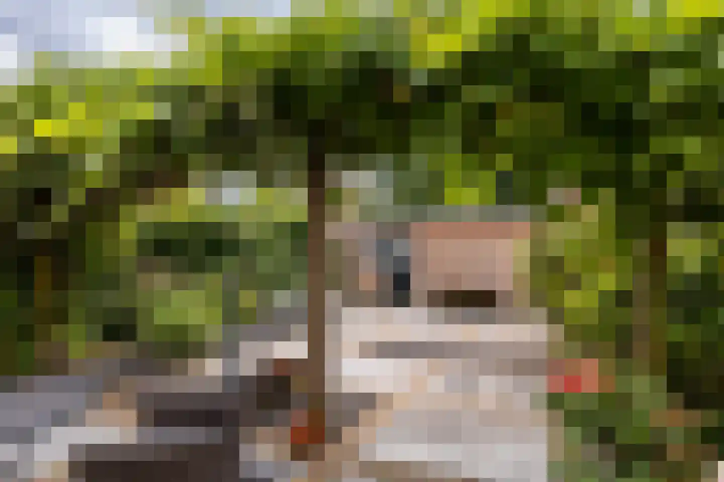 Soestdijkerstraatweg 24 B Hilversum thumbnail 18
