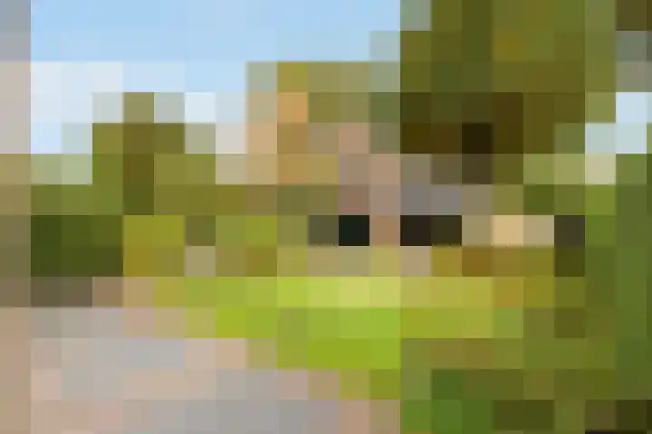 Soestdijkerstraatweg 3 Hilversum thumbnail 18