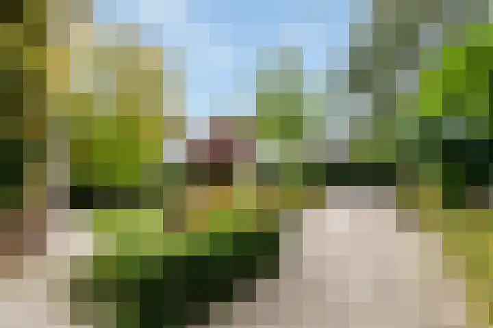 Soestdijkerstraatweg 3 Hilversum thumbnail 4
