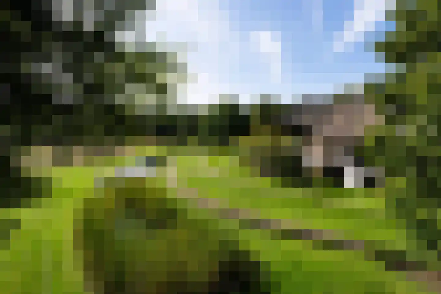 Soestdijkerweg 10 Den Dolder thumbnail 20