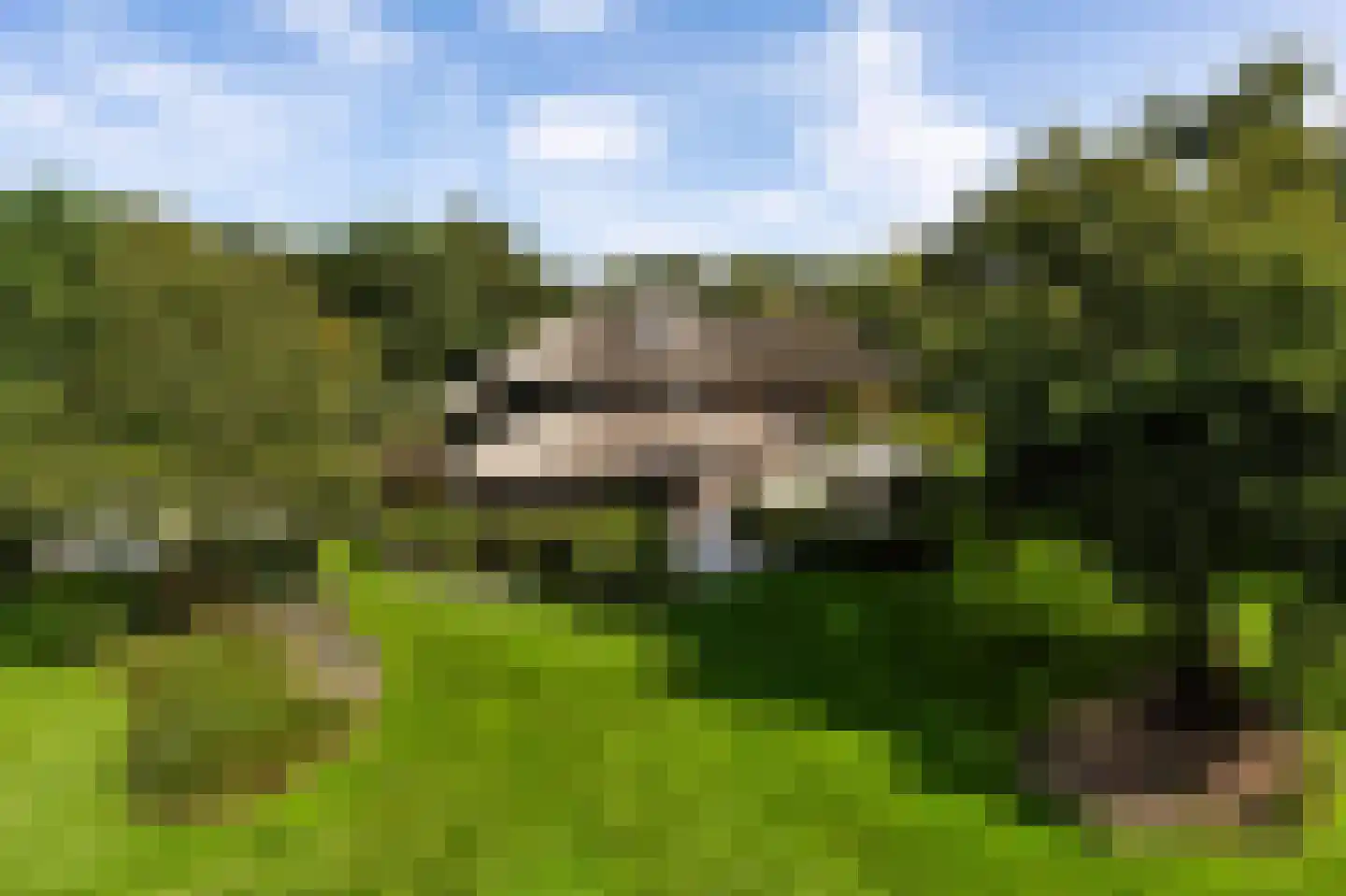 Soestdijkerweg 10 Den Dolder thumbnail 22