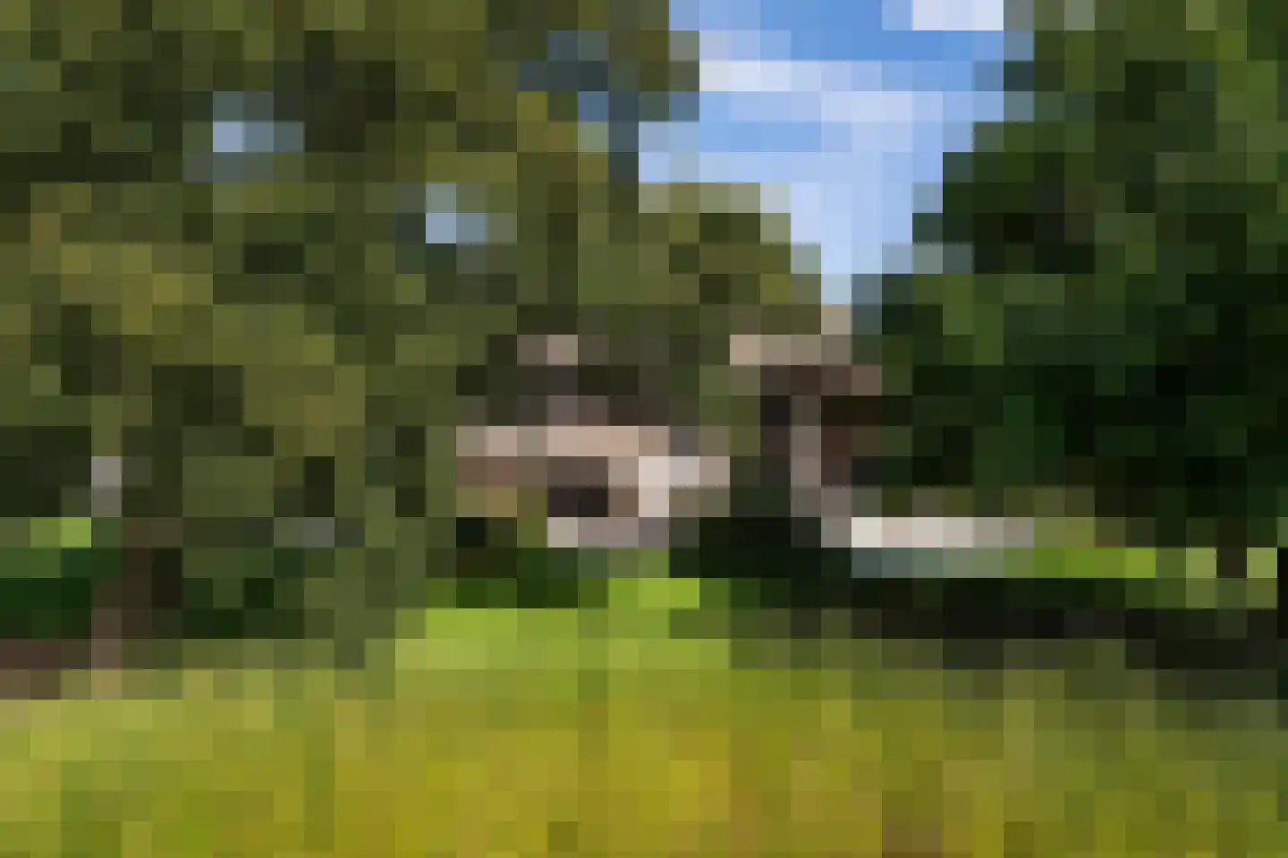 Soestdijkerweg 10 Den Dolder thumbnail 23