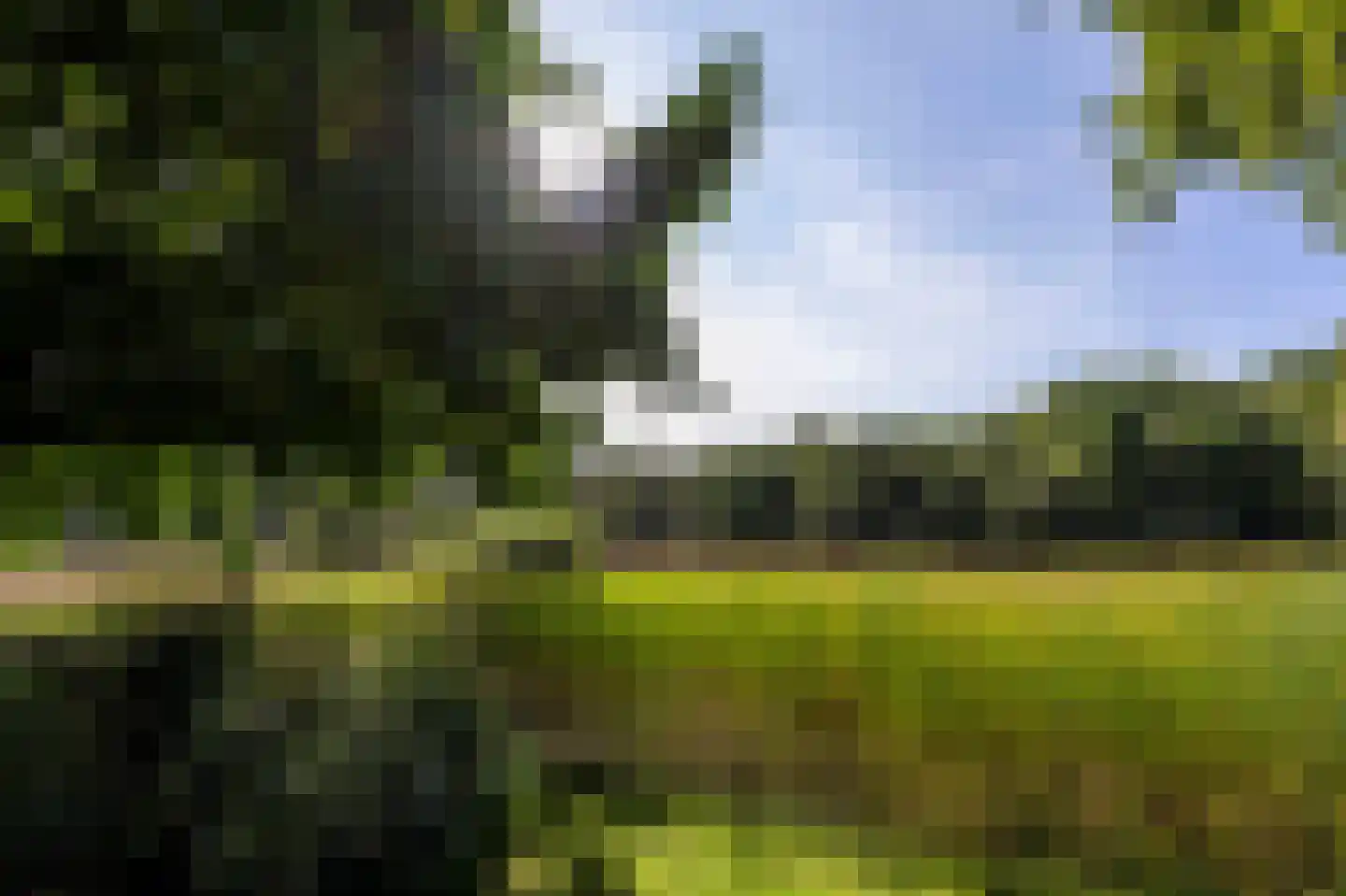 Soestdijkerweg 10 Den Dolder thumbnail 24
