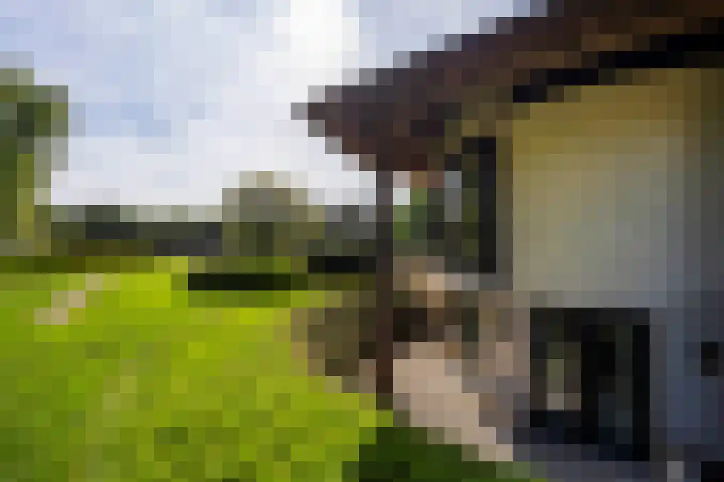 Soestdijkerweg 10 Den Dolder thumbnail 26
