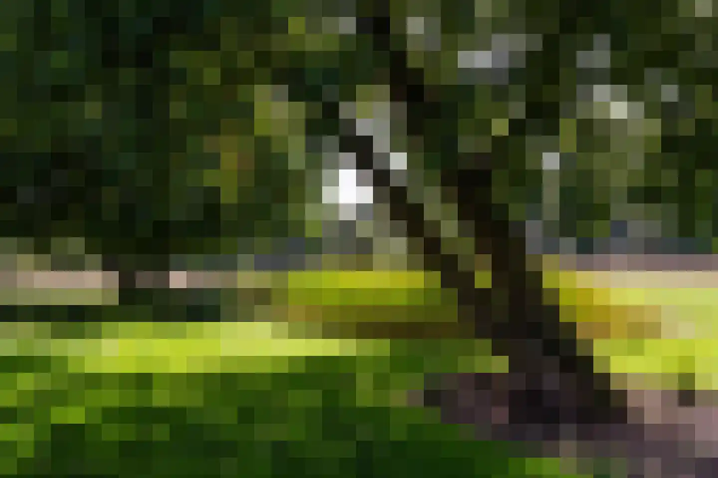 Soestdijkerweg 10 Den Dolder thumbnail 29