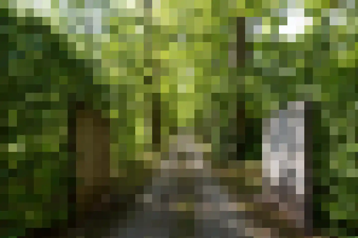 Soestdijkerweg 10 Den Dolder thumbnail 32
